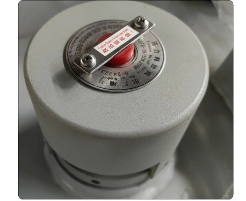 250 kVA Oil-Immersed Distribution Transformer detail image