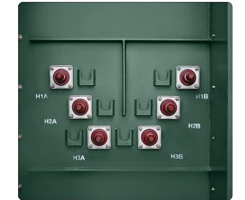 1000 kVA Pad-Mounted Distribution Transformer detail image