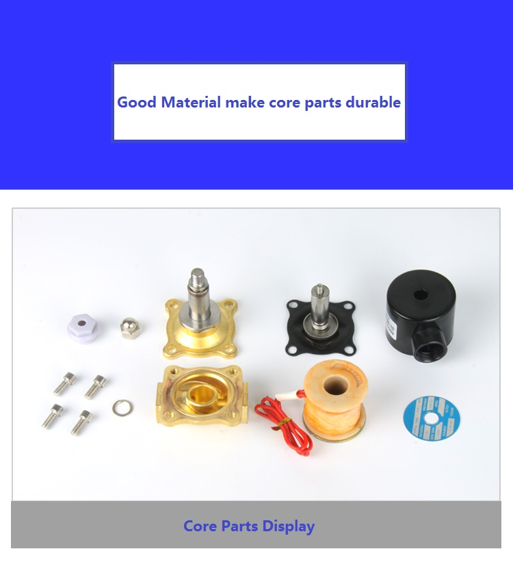 Disassembled brass solenoid valve showing body, diaphragm, stem, coil and retaining parts