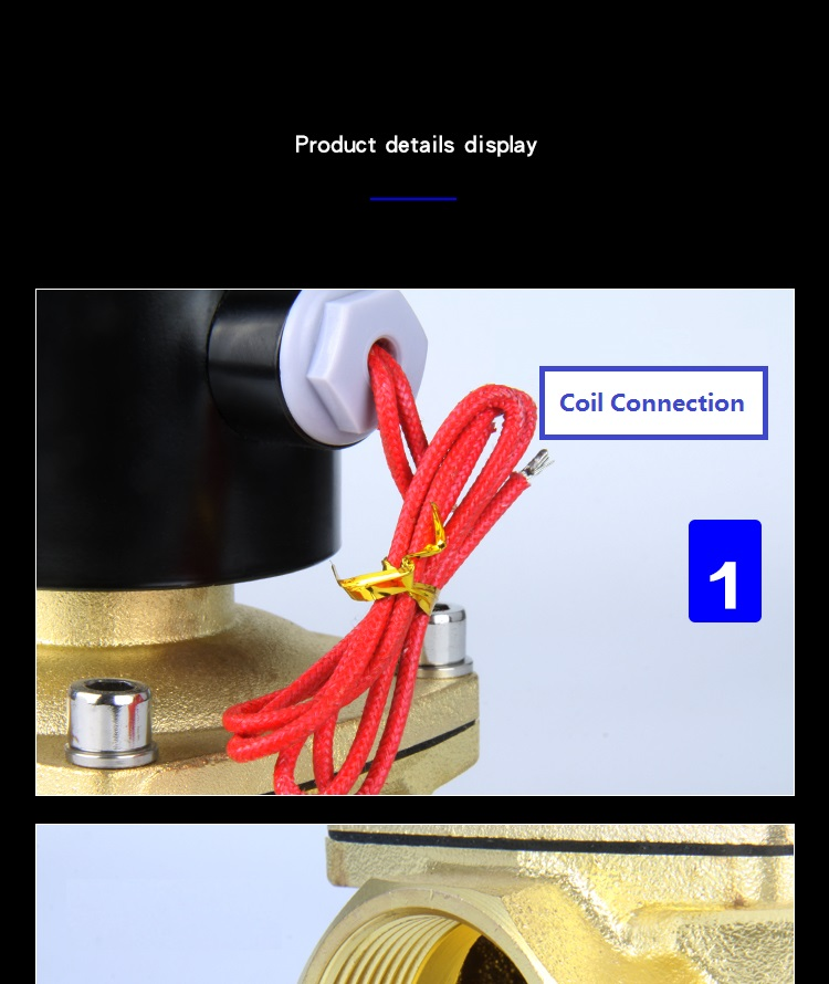 Lead wires exiting the solenoid coil through a cable gland