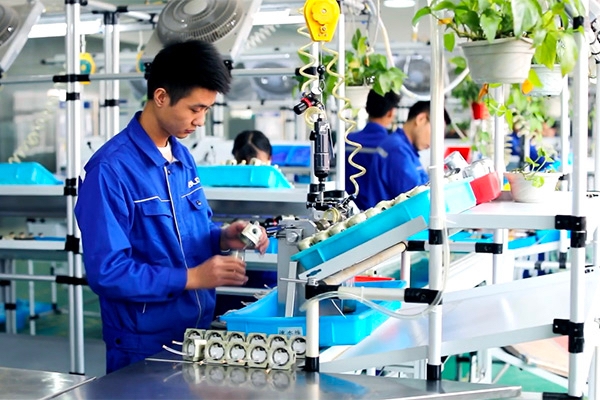 Component Assembly