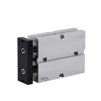 TN twin-rod cylinder with common moving plate