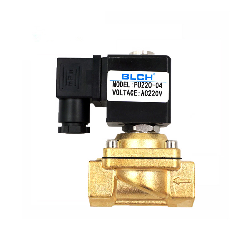 PU220-04 brass valve with AC220V coil