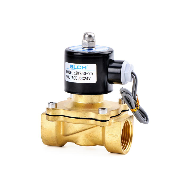 2W250-25 brass valve with DC24V lead-wire coil