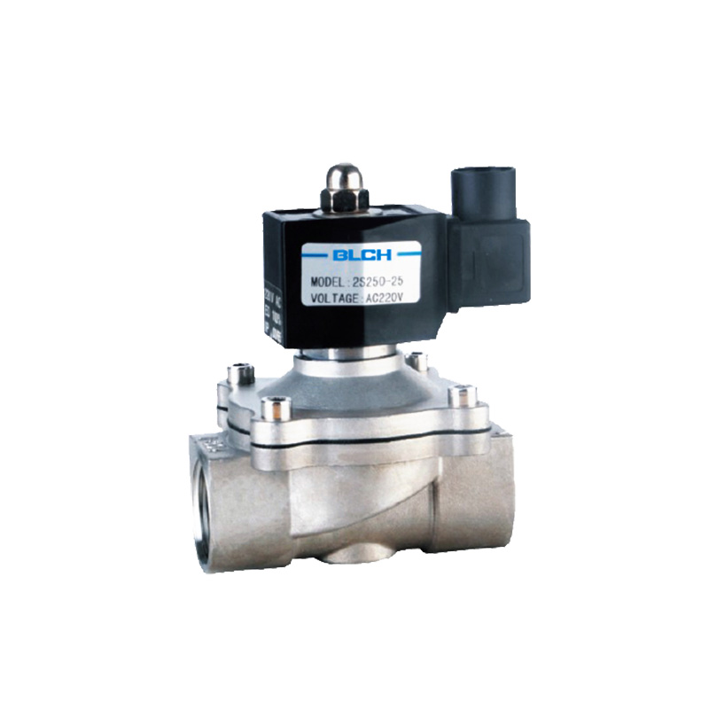 2S250-25 stainless steel valve with AC220V connector coil