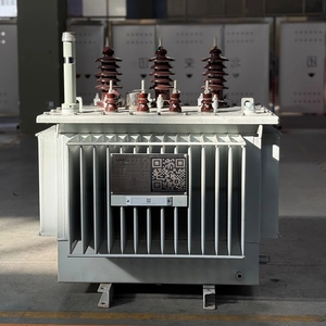 100 kVA Oil-Immersed Distribution Transformer