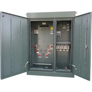 160 kVA Pad-Mounted Distribution Transformer