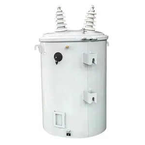 250 kVA Pole-Mounted Distribution Transformer