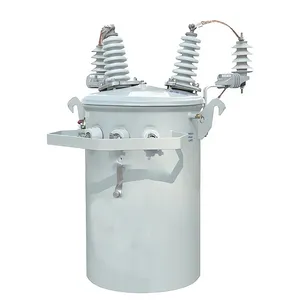 300 kVA Pole-Mounted Distribution Transformer