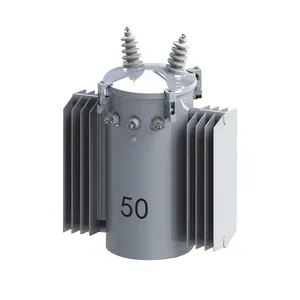 50 kVA Pole-Mounted Distribution Transformer