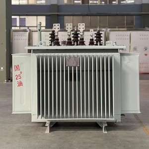800 kVA Oil-Immersed Distribution Transformer