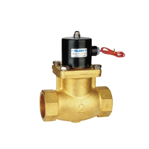 2L500-50 brass valve with lead-wire coil