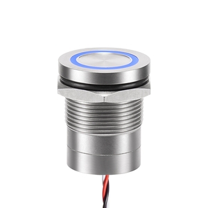 19mm Capacitive Switch