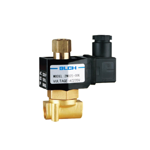 2W025-08K brass valve with AC220V connector coil