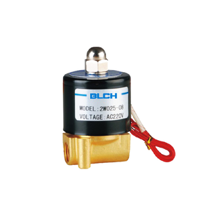 2W025-08 brass valve with AC220V lead-wire coil