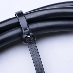 Metal Pawl Lock on a Cable Bundle