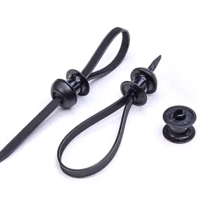 Chassis Cable Ties