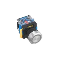 CLA38 Stainless Steel Flat Pushbutton