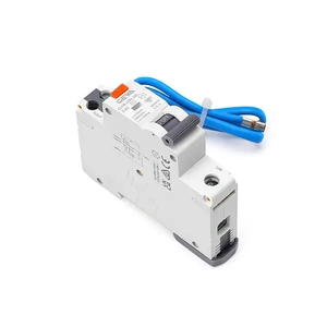 GYR10N-50-fusebox-RCBO-1.webp