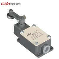 LX19-111 Limit Switch