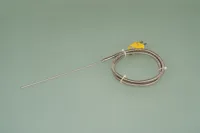 Metal-Hose Thermocouple without Fixed Mounting