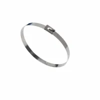Stainless Steel Cable Tie
