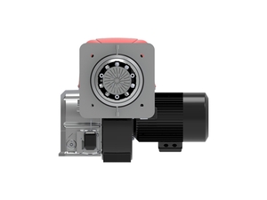WS 810 BLU Low NOx Gas Burner View 2