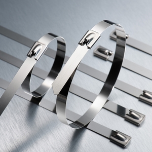 Stainless Steel Cable Ties